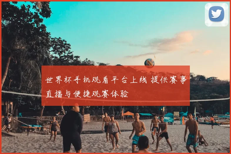 世界杯手机观看平台上线 提供赛事直播与便捷观赛体验