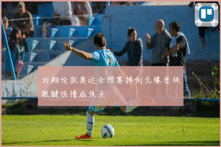 刘翔伦敦奥运会预赛摔倒无缘晋级跟腱伤情成焦点