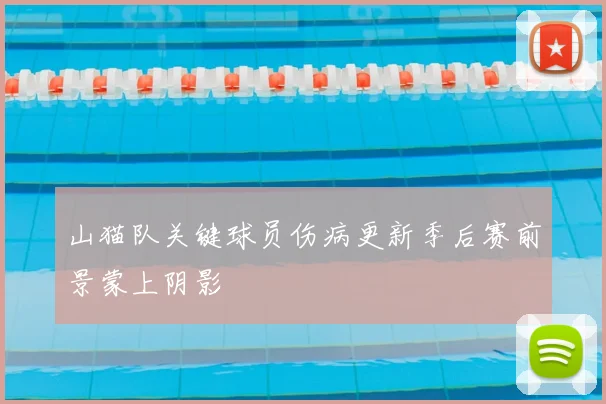 山猫队关键球员伤病更新季后赛前景蒙上阴影