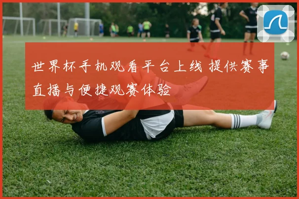 世界杯手机观看平台上线 提供赛事直播与便捷观赛体验