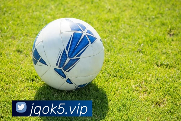 KAIYUN(中国大陆)体育科技有限公司官网服务体系