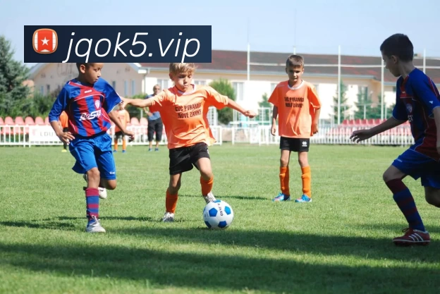 KAIYUN(中国大陆)体育科技有限公司官网服务体系